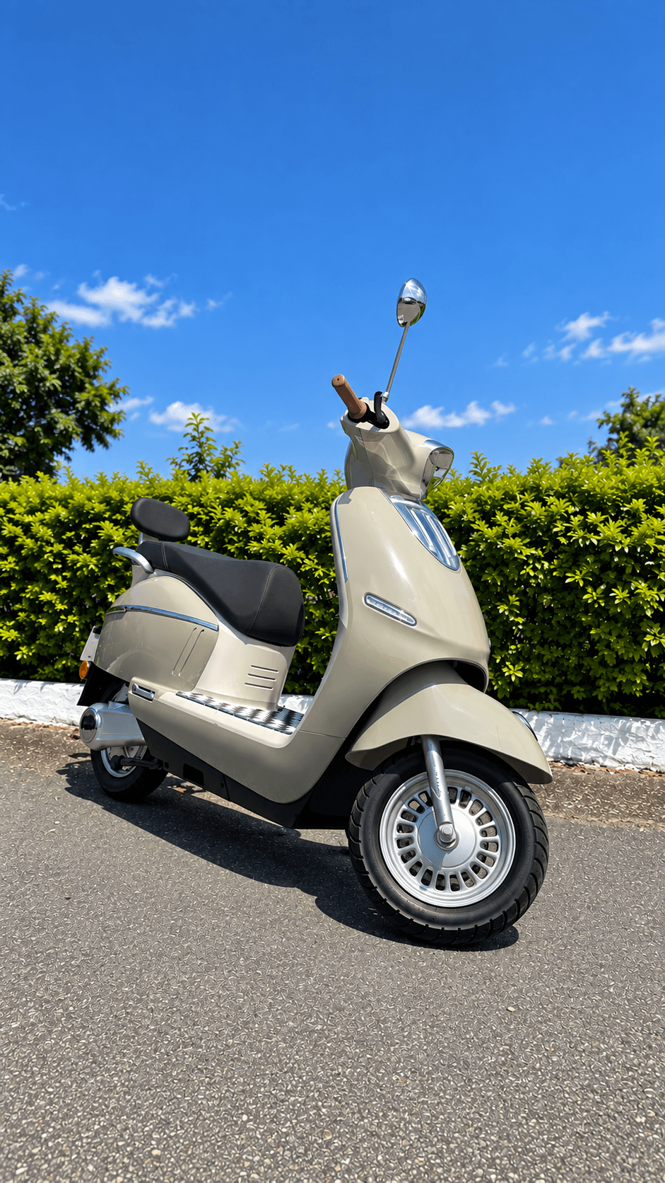Scooter Elétrica Tailg AG-T3